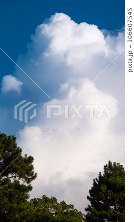 夏の入道雲 106607545