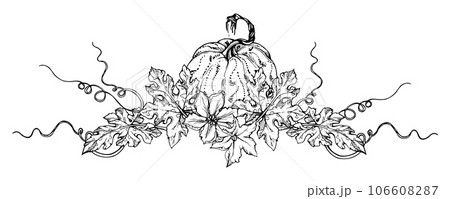 Hand drawn ink vector pumpkin gourd squash. Sketch illustration art for Thanksgiving, Halloween, harvest, farming. Isolated object, outline. Design for restaurant menu print, cafe, website, invitation Hand drawn ink vector pumpkin gourd squash. Sketch illustration art for Thanksgiving, Halloween, harvest, farming. Isolated object, outline. Design for restaurant menu print, cafe, website, invitation 106608287
