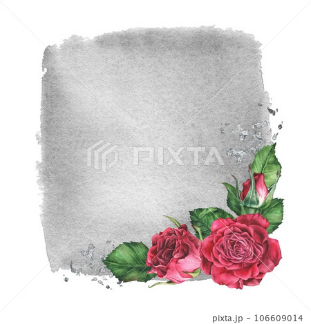 Square blank of pink roses with a gray spot on the background. Watercolor botanical illustration. Frame of red flowers. Isolated hand drawn clip art. Place for text, copy space. For designing cards 106609014