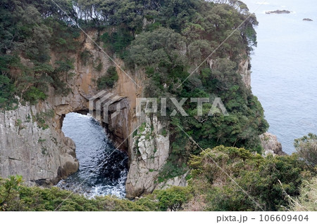 白山洞門は足摺岬の風景の一つ 106609404