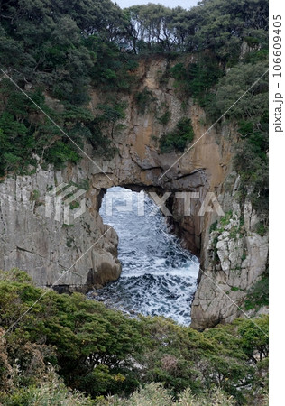 白山洞門は足摺岬の風景の一つ 106609405