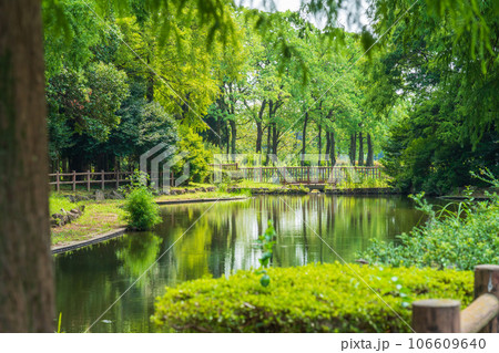 庄内緑地公園、緑美しいガマ池〈愛知県名古屋市〉 106609640