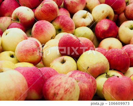 Apples-large, ripe fruit wet after the rain, on the counter of a farmer`s fair. 106609973