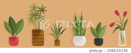 Trendy home decor with plants, cacti, tropical leaves. Potted plants for the interior. Home plants in flowerpot. Pot plant set. Plants plastic decorative container and hanging styling indoor basket 106610246