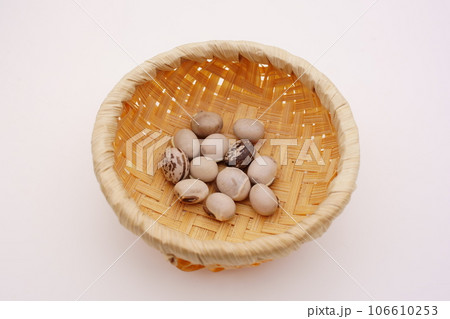 ムクナ豆 106610253