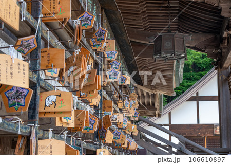 函館八幡宮 106610897