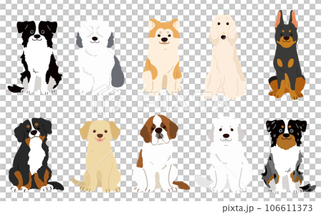 Illustration set of a simple and cute large dog sitting facing the front, no main line 106611373