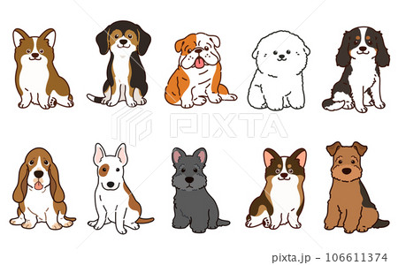 正面を向いてお座りするシンプルで可愛い中型犬のイラストセット　主線あり 106611374
