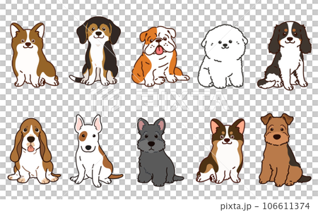 正面を向いてお座りするシンプルで可愛い中型犬のイラストセット　主線あり 106611374