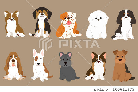 正面を向いてお座りするシンプルで可愛い中型犬のイラストセット　主線なし 106611375