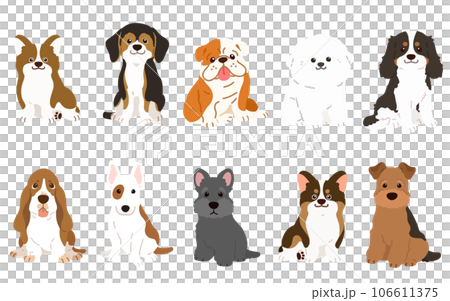 一隻簡單可愛的中型狗面朝前坐著的插圖集，沒有主線 106611375