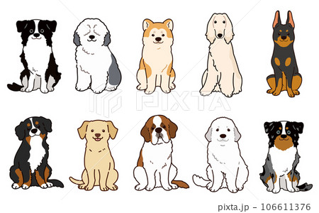 正面を向いてお座りするシンプルで可愛い大型犬のイラストセット　主線あり 106611376