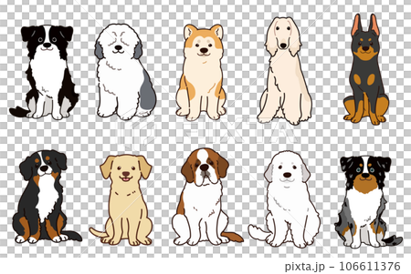 Illustration set of a simple and cute large dog sitting facing the front with a main line Illustration set of a simple and cute large dog sitting facing the front with a main line 106611376