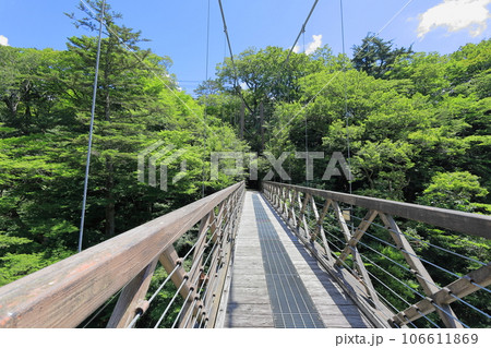 七ツ岩吊橋/栃木県那須塩原市 塩原温泉 七ツ岩吊橋/栃木県那須塩原市 塩原温泉 106611869