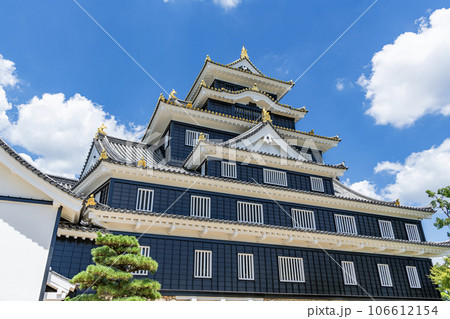 岡山県岡山市　日本100名城　令和の大改修を終えた岡山城天守 106612154