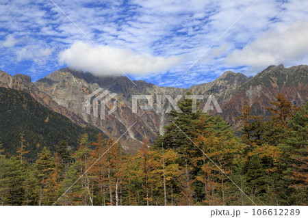 秋の上高地の田代湿原の風景 ( 2022年10月 / 長野県 松本市 ) 秋の上高地の田代湿原の風景 ( 2022年10月 / 長野県 松本市 ) 106612289