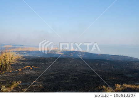 Burnt dry grass and smoke from a fire on the seashore on a hot summer day. Burnt dry grass and smoke from a fire on the seashore on a hot summer day. 106613207