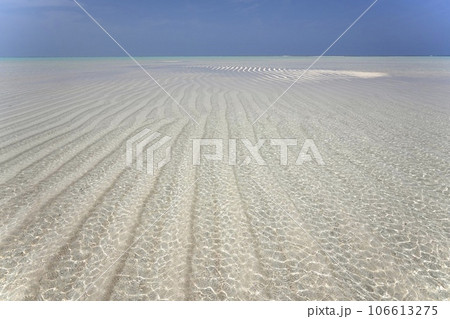 鹿児島県与論島の百合が浜 106613275
