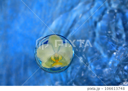 胡蝶蘭の花を盃に入れて水に浮かべた 胡蝶蘭の花を盃に入れて水に浮かべた 106613748