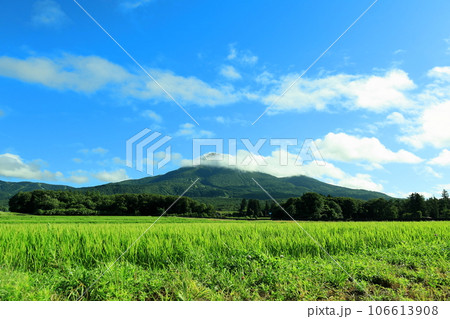 福島県のシンボル磐梯山／福島県猪苗代町　磐梯山眺望箇所 106613908