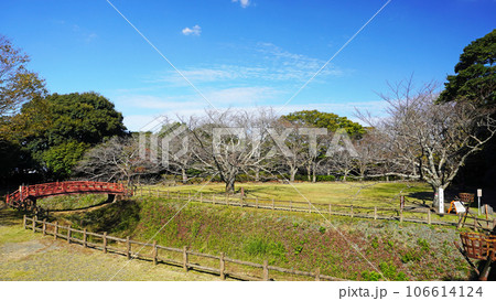 能満寺山公園にある小山城跡（静岡県榛原郡吉田町） 106614124