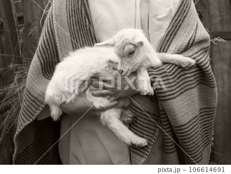 Shepherd with a sheep in his arms Shepherd with a sheep in his arms 106614691