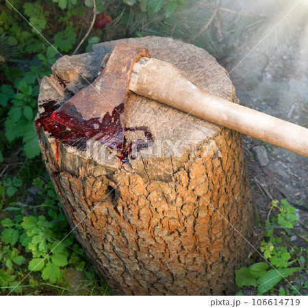 A bloody ax lies on a stump A bloody ax lies on a stump 106614719