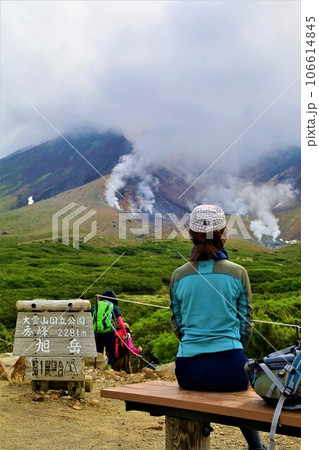 カムイミンタラ、神々の遊ぶ庭、大雪山、旭岳ロープウェイ、初夏の北海道、七月、旭岳は地球上のキャンパス 106614845