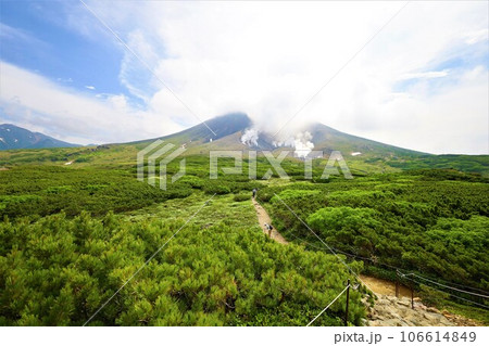 カムイミンタラ、神々の遊ぶ庭、大雪山、旭岳ロープウェイ、初夏の北海道、七月、旭岳は地球上のキャンパス カムイミンタラ、神々の遊ぶ庭、大雪山、旭岳ロープウェイ、初夏の北海道、七月、旭岳は地球上のキャンパス 106614849