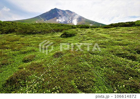 カムイミンタラ、神々の遊ぶ庭、大雪山、旭岳ロープウェイ、初夏の北海道、七月、旭岳は地球上のキャンパス カムイミンタラ、神々の遊ぶ庭、大雪山、旭岳ロープウェイ、初夏の北海道、七月、旭岳は地球上のキャンパス 106614872