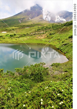 カムイミンタラ、神々の遊ぶ庭、大雪山、旭岳ロープウェイ、初夏の北海道、七月、旭岳は地球上のキャンパス カムイミンタラ、神々の遊ぶ庭、大雪山、旭岳ロープウェイ、初夏の北海道、七月、旭岳は地球上のキャンパス 106614909