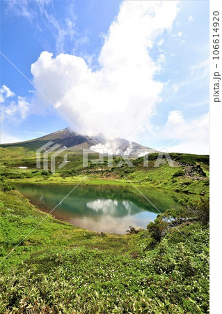 カムイミンタラ、神々の遊ぶ庭、大雪山、旭岳ロープウェイ、初夏の北海道、七月、旭岳は地球上のキャンパス 106614920
