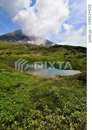 カムイミンタラ、神々の遊ぶ庭、大雪山、旭岳ロープウェイ、初夏の北海道、七月、旭岳は地球上のキャンパス カムイミンタラ、神々の遊ぶ庭、大雪山、旭岳ロープウェイ、初夏の北海道、七月、旭岳は地球上のキャンパス 106614926