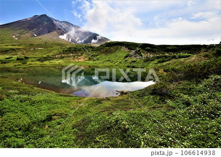 カムイミンタラ、神々の遊ぶ庭、大雪山、旭岳ロープウェイ、初夏の北海道、七月、旭岳は地球上のキャンパス 106614938