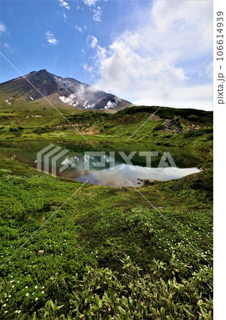 カムイミンタラ、神々の遊ぶ庭、大雪山、旭岳ロープウェイ、初夏の北海道、七月、旭岳は地球上のキャンパス 106614939