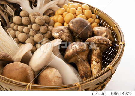 きのこの盛り合わせ 106614970