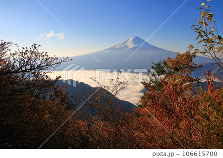 秋の御坂山地から見る富士山と河口湖の雲海 秋の御坂山地から見る富士山と河口湖の雲海 106615700