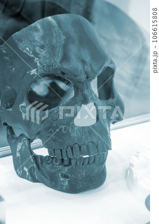 Art object printed on 3D printer. Prototype mask of facial part of human skeleton. Model printed on 3D printer from melted plastic close-up. Concept new modern innovation printing technology 106615808
