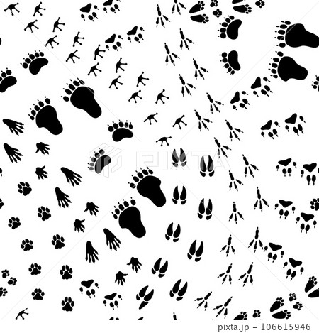 Seamless pattern animal trail. Texture with wild animals footprints, repeating paw trace, following pet track. Bear step, fox print foot. Vector illustration 106615946