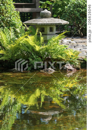 stone lantern is reflected in the water of a pond in a Japanese garden 106616046