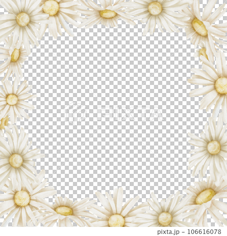 Daisy Frame. Hand drawn watercolor illustration of square Border with Chamomile flowers on isolated background. Botanical Template for greeting cards or wedding invitations. Drawing for icon or logo. 106616078