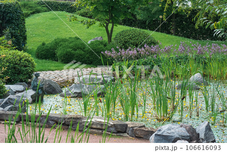 fragment of the design of a Japanese garden with a shore of a reservoir, stones, sedge and kappa sculpture 106616093