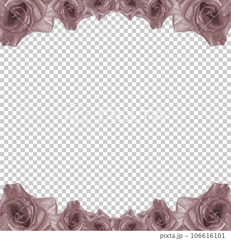 Frame of watercolor illustrations of roses hand drawn isolated on a transparent background 106616101