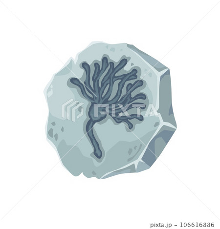 Fossil, ancient plant or prehistoric sea animal stone imprint, vector archaeology museum, paleontology science. Cartoon Jurassic fossil, gray rock with silhouette of flower or crinoid skeleton trace 106616886