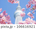 スカイツリー　桜 106616921