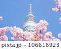 スカイツリー　桜 106616923