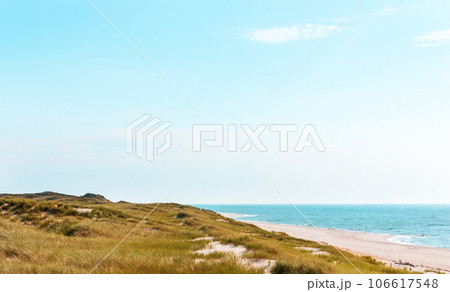 Landscape in the North Sea on Sylt island with the marram grass dunes Landscape in the North Sea on Sylt island with the marram grass dunes 106617548