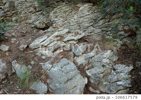 Moss on rock face relief texture of stone with patterns Moss on rock face relief texture of stone with patterns 106617579