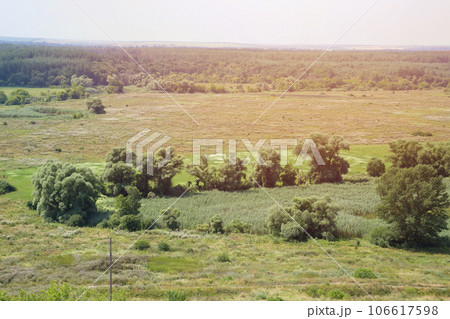 Sunny spring morning on meadow with trees 106617598