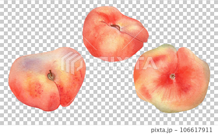 Set of chinese flat fig peaches pink watercolor illustration isolated on white. Watercolor painted pink fruits drawing. Food illustration hand drawn, design element for package, label Set of chinese flat fig peaches pink watercolor illustration isolated on white. Watercolor painted pink fruits drawing. Food illustration hand drawn, design element for package, label 106617911
